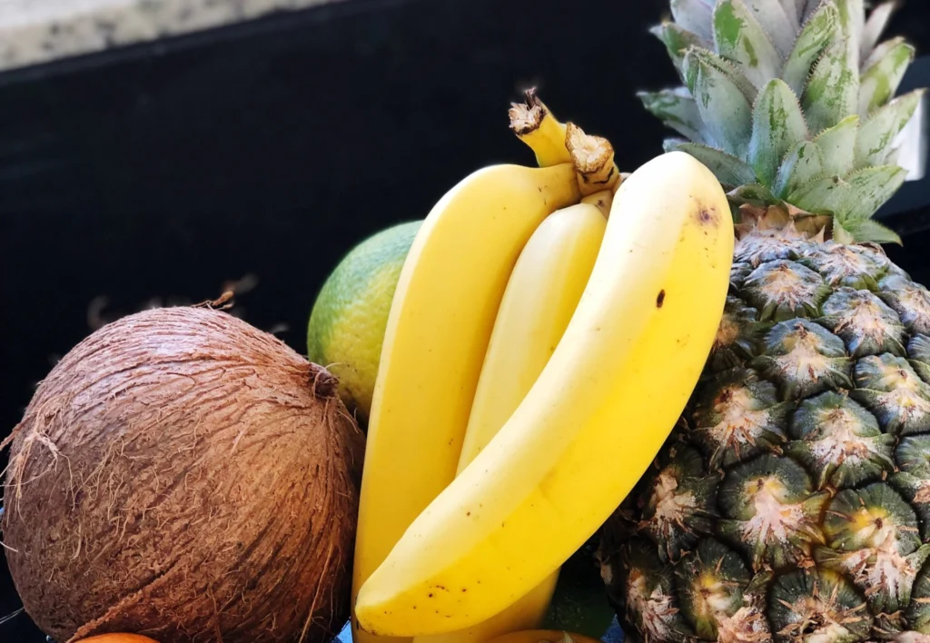 Frutas do nordeste brasileiro